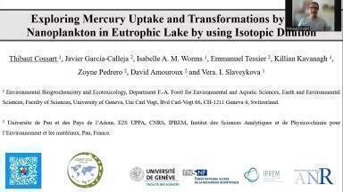 Exploring Mercury Uptake and Transformations by Pico-Nanoplankton in Eutrophic Lake by using Isotopic Dilution